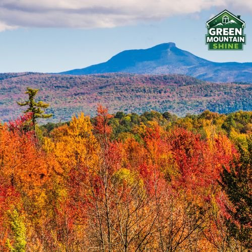Gutter cleaning in Vermont