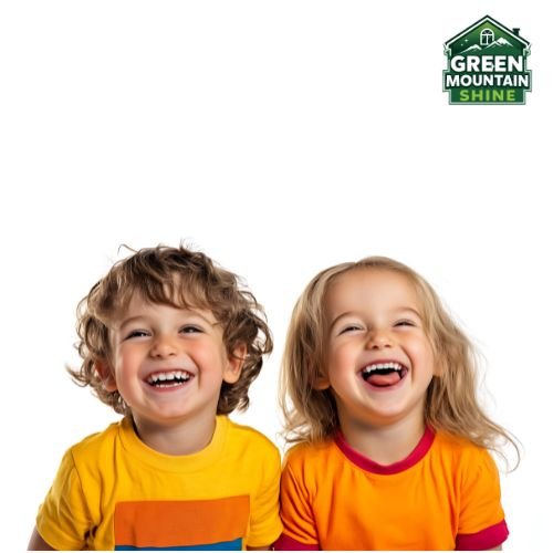 Window cleaning jokes